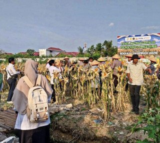 Pelindo Dukung Gerakan Ketahanan Pangan Polsek KSKP