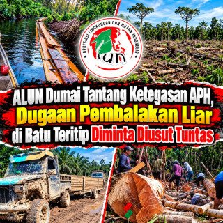 ALUN Dumai Tantang Ketegasan APH, Dugaan Pembalakan Liar di Batu Teritip Diminta Diusut Tuntas